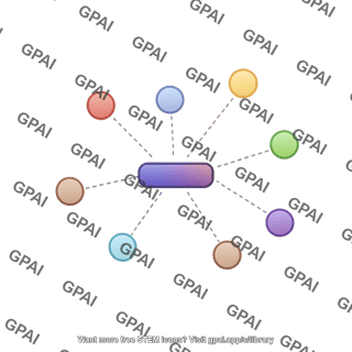 Protein interaction network schematic