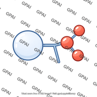 Methylation 3