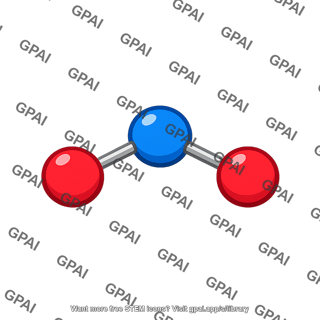No2 molecule