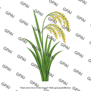Rice plant