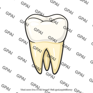 Tooth