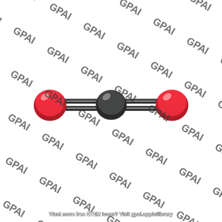 Carbon dioxide molecule