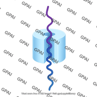 Translocation stage 5