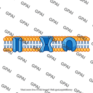 Membrane semipermeable
