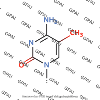 5 methylcytosine