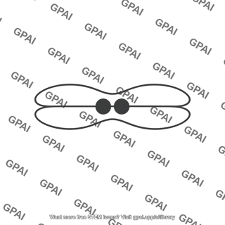 Molecular orbital pi 2p