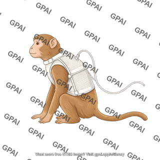 Macaque with infusion jacket