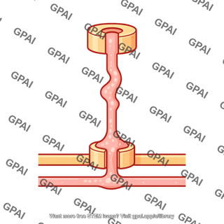Type 1 secretion system gspi