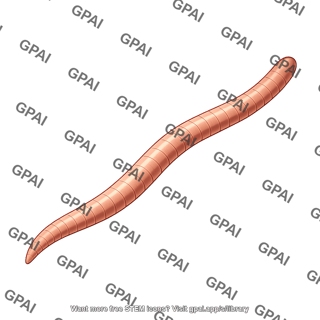 Parasite straight