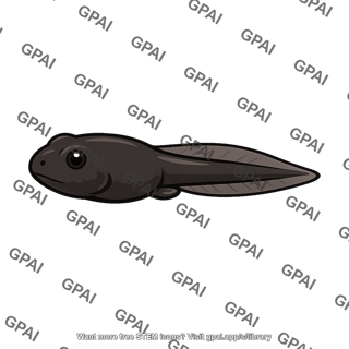 Southern toad tadpole