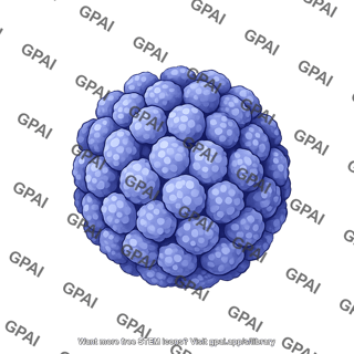 Jc polyomavirus