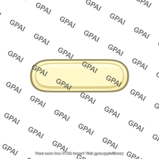Buchnera bacterium