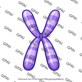 Condensed chromosome