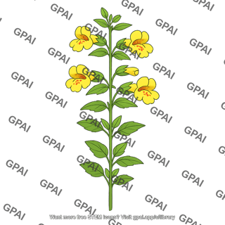 Monkey flower