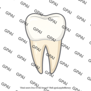 Tooth