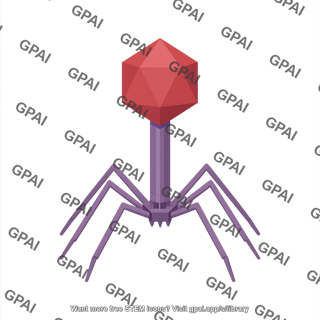 Bacteriophage 2d