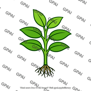 Primary producer plant