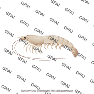 Whiteleg shrimp
