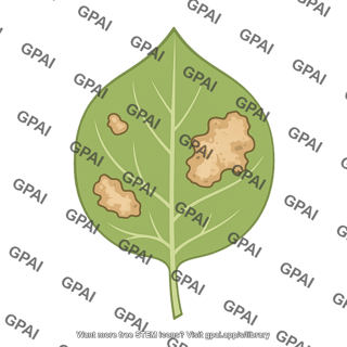 Nicotiana benthamiana leaf cell death