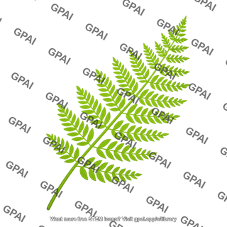 Fern leaf