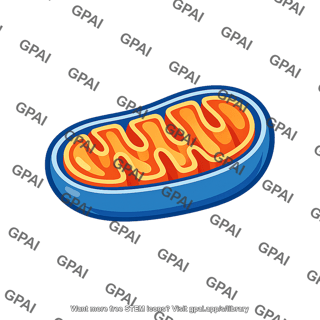 Mitochondrion