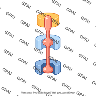 Type 1 secretion system gspd