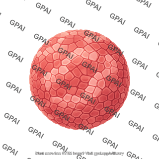 Dengue virus