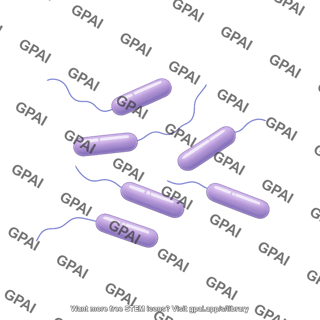 Bacilli with flagella