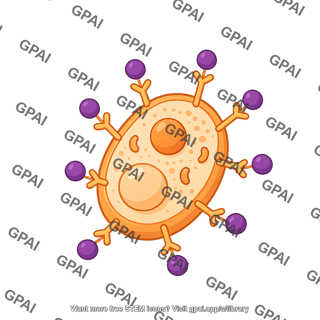 Yeast display circle