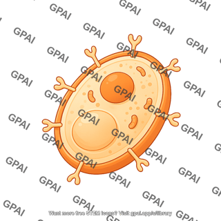 Yeast display blank