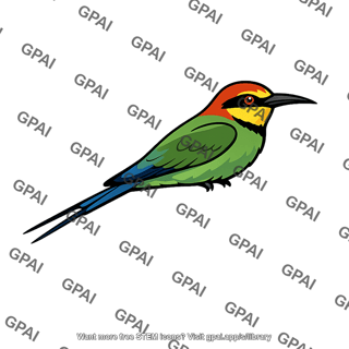 Bee eater