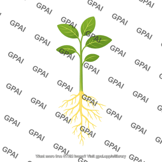 Soybean seedling vc