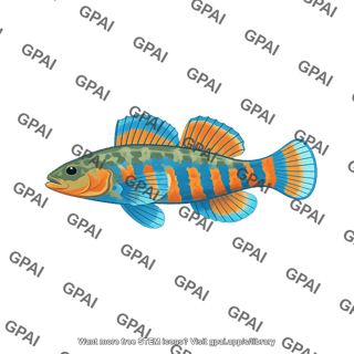 Rainbow darter etheostoma caeruleum male