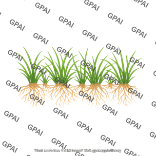Grass field with roots