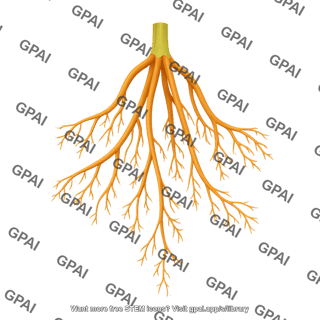 Roots prop roots