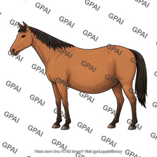 Horse pregnant 46
