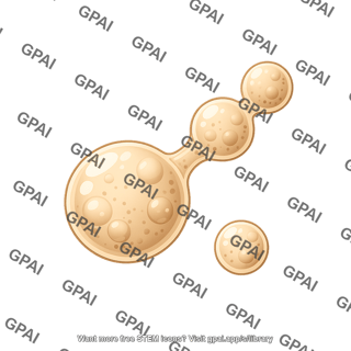 Yeast c neoformans budding