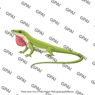 Green anole anolis carolinensis male
