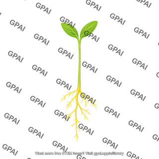 Soybean seedling ve 2