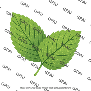 Mint leaf