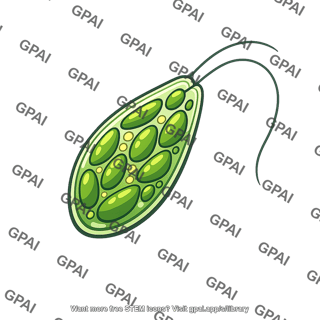 Photosynthetic flagellate