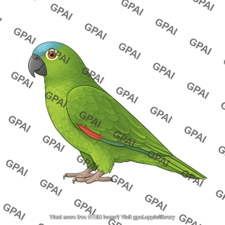Amazon parrot