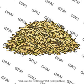 Plant biomass dried