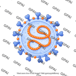 Coronavirus ssrna