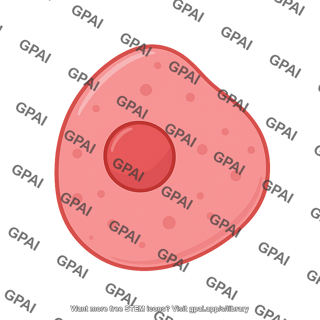 Pancreatic alpha cell