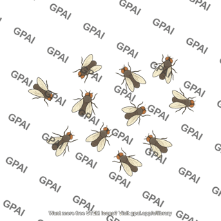 Generic fly swarm