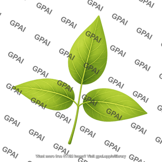 Soybean trifolate leaf pointed ovate