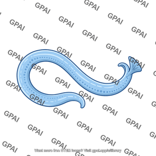 C. elegans male simple