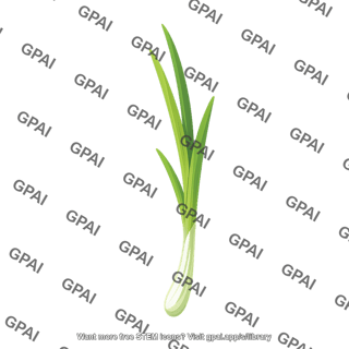 Onion shoot