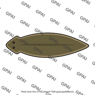 Planarian flatworm schmidtea polychroa